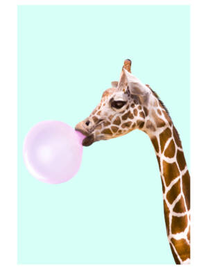 GIRAFA