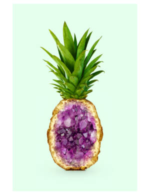 PINA Q