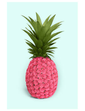 PINA ROSE