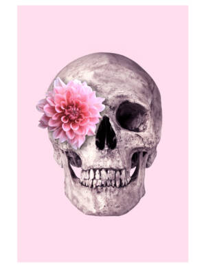 PINK SKUL