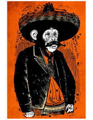 ZAPATA CHANGO